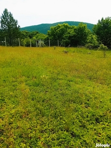 Eladó Külterületi telek Balatonfüred - Balatonfüred, Veszprém - Telek, föld