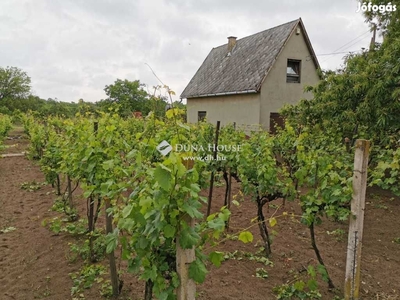 Eladó telek, Kecskemét - Kecskemét, Bács-Kiskun - Telek, föld