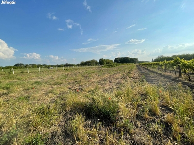 Kecskemét Ménteleken föld eladó - Méntelek, Kecskemét, Bács-Kiskun - Telek, föld