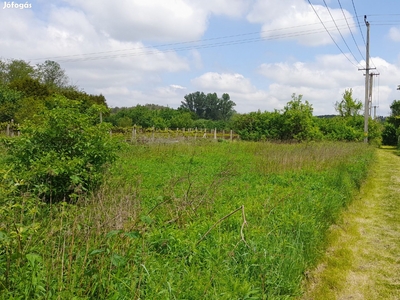 Oroszlány, eladó telek Bokod és Kecskéd közelében - Oroszlány, Komárom-Esztergom - Telek, föld