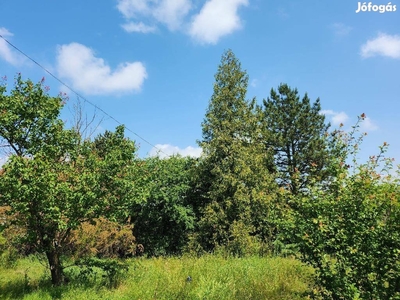 Vízpart közelében, telek eladó! - Szigetújfalu, Pest - Telek, föld