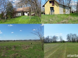 50.000 m2-es Telek + Ház Kecskeméttől 15 KM Kerekegyháza Ágostondűlő