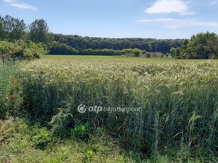 Debrecen, ingatlan, mezőgazd. ingatlan, 2048 m2, 30.000.000 Ft