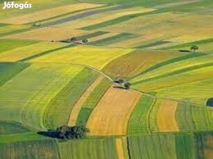 Eladó Mezőgazdasági, Nyíregyháza 10.990.000 Ft