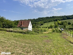 Szekszárdi eladó tégla tanya