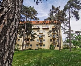 Veszprém, ingatlan, lakás, 82 m2, 55.000.000 Ft