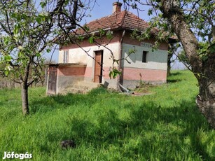 Zalaegerszeg Botfán hétvégi ház szőlővel gyümölcsössel eladó