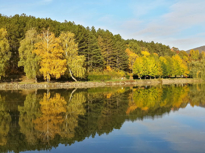 Kiadó tégla lakás - Pécsvárad, Fenyő sor