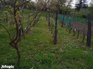 Egerszeghegyen művelés alól kivont terület eladó