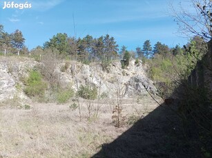 Ipari ingatlan eladó Balatonfüzfőn