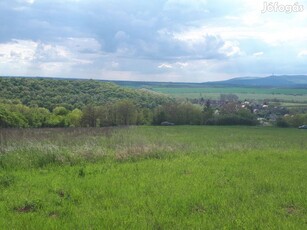 Pereked Szőlőhegyen 4 hektár szántó/rét eladó